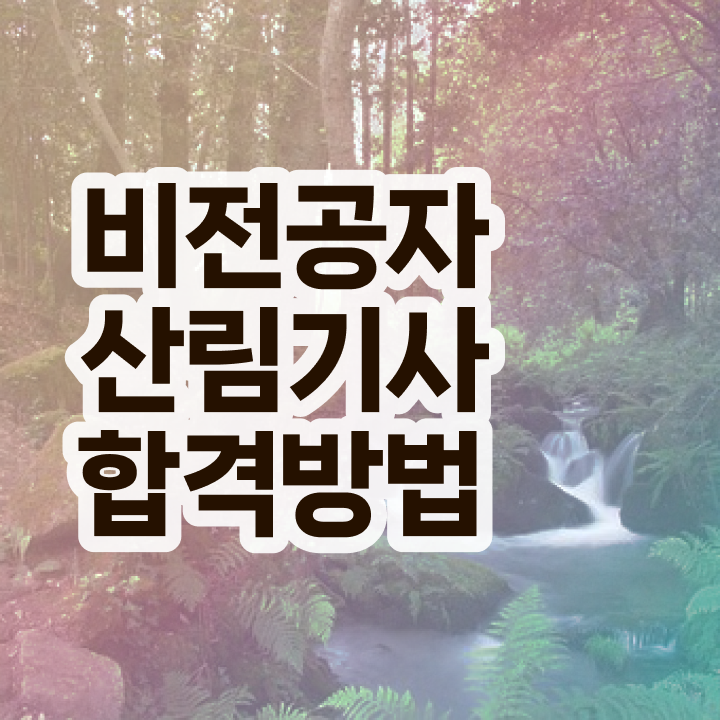  산림기사 학점은행제 산림기사 시험자격 온라인 과정으로 단기간에 성공한 후기