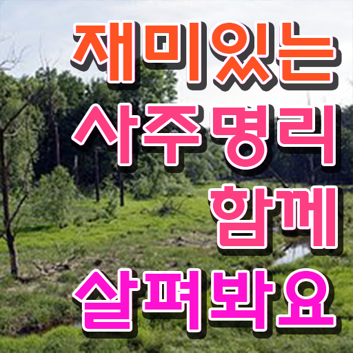  사주 , 심리상담사 자격증 온라인 교육으로 합격한 후기 및 전망