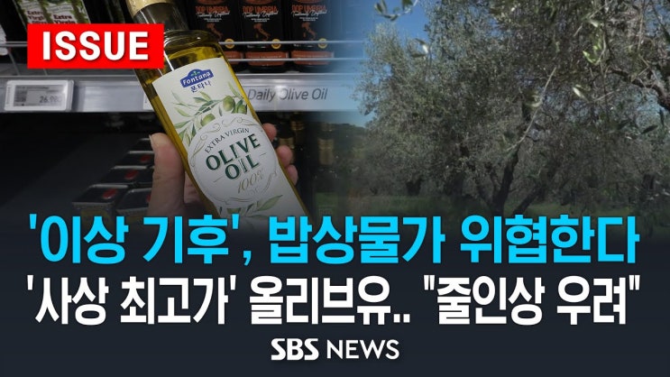 '이상 기후', 밥상물가 위협한다 .. '사상 최고가' 올리브유.. "줄인상 우려" '이상 기후', 밥상물가 위협한다 .. '사상 최고가' 올리브유.. "줄인상 우려"
