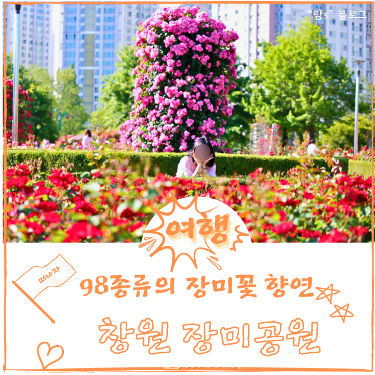  창원 데이트 장미공원 나들이 주차장위치 포토존 Best장소