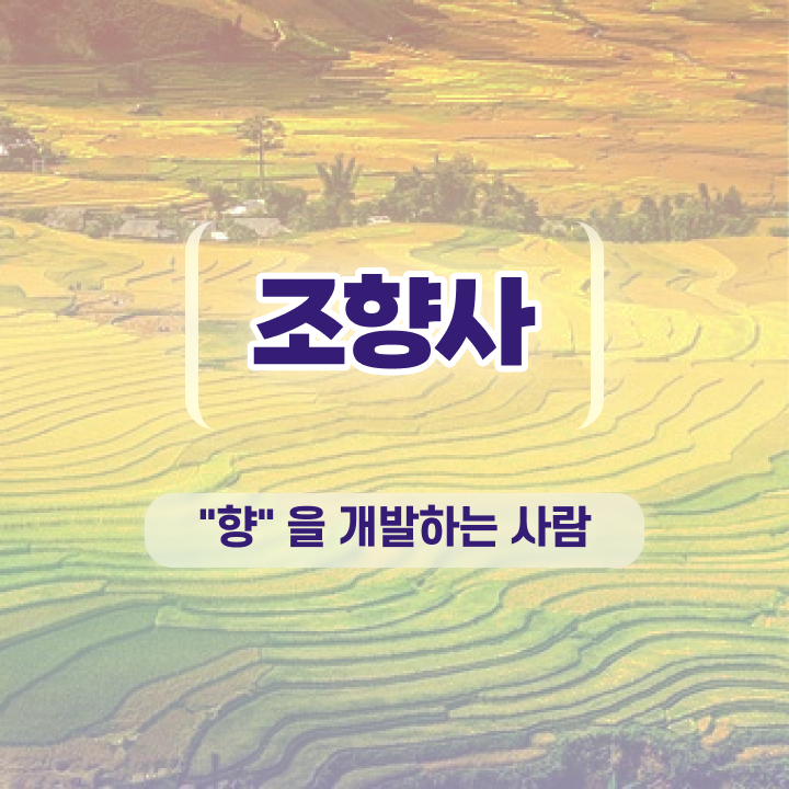  40대 자격증 추천 , 조향사 동영상 과정으로 고졸도 편하게 준비한 꿀팁 모음