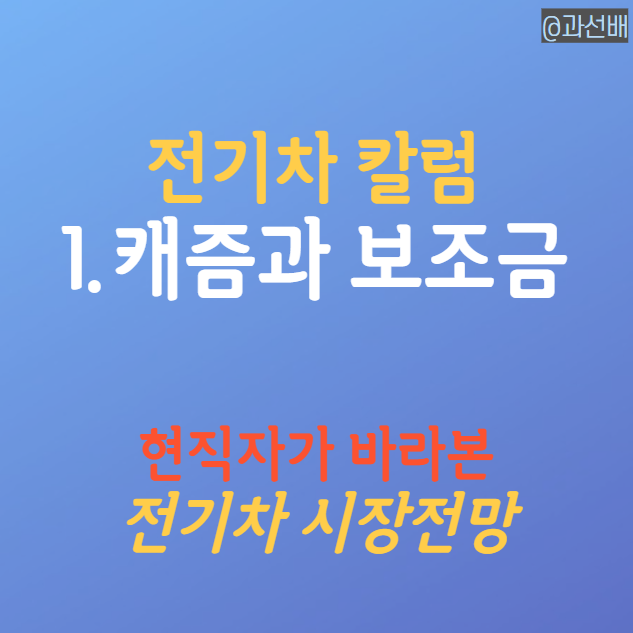  현직자가 바라본 전기차 캐즘 (ft. BYD와 보조금)