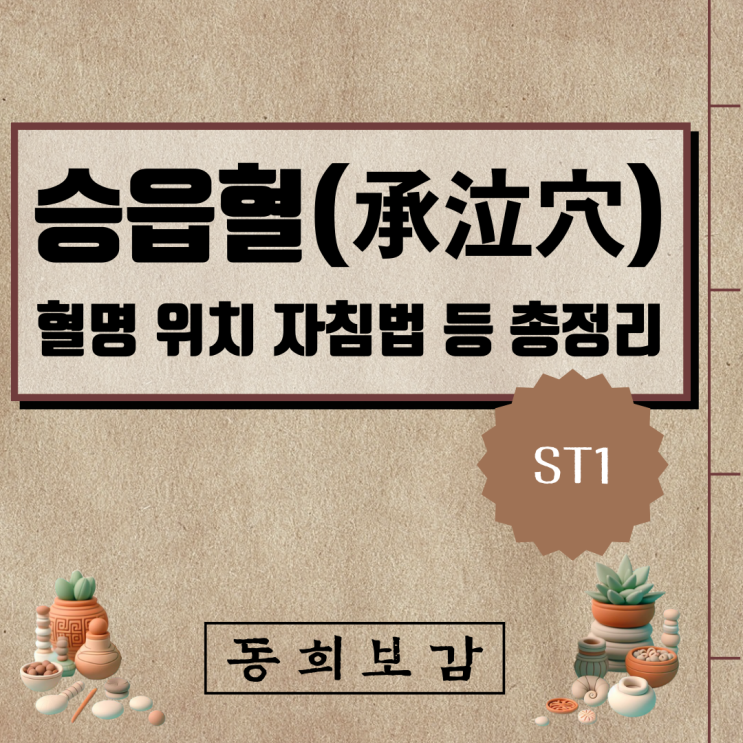  승읍혈(承泣穴) ST1, 소속경맥 혈명 위치 특성 자침법 등 총정리