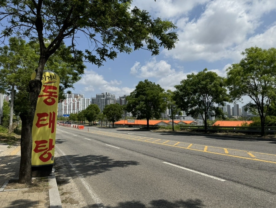 이거시동태 사진 2