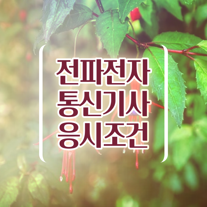  전파전자통신기사 시험응시자격 온라인으로 1학기 만에 완료한 비법