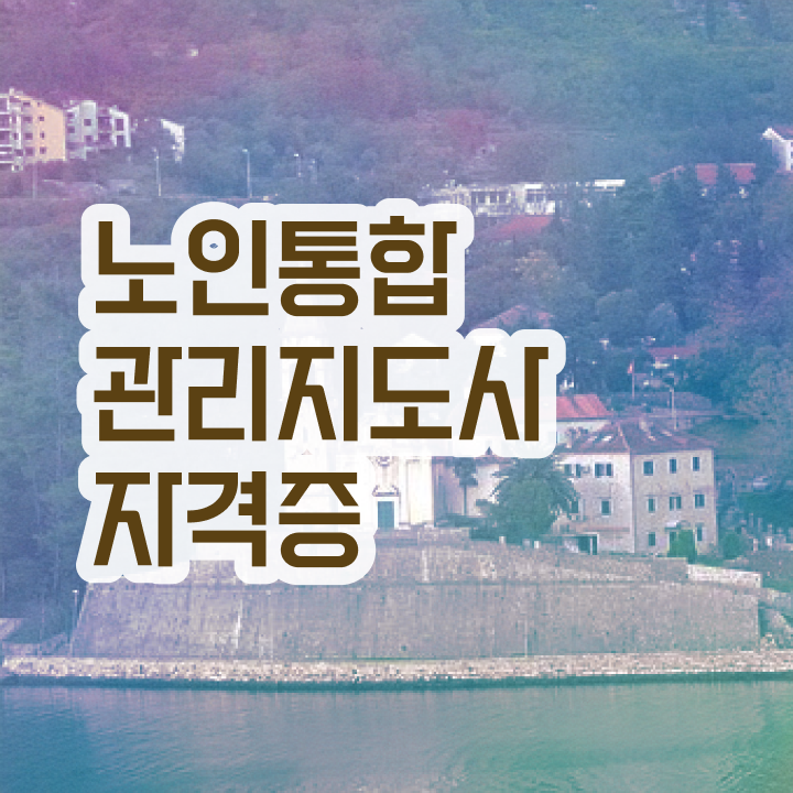  노인지도사 , 노인통합관리지도사 자격증 준비한 방법 핵심 정보 정리