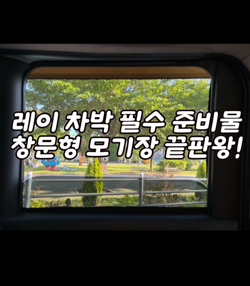 레이 차박 준비물 추천, 정빈산업 창문형 모기장 후기(카니발, 스타렉스, 펠리세이드, 스타리....