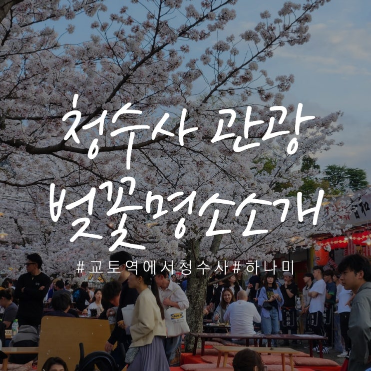  교토역에서 청수사 기요미즈테라 버스로 가는법, 요금 (버스패스권 없이) & 드라마속 하나미 교토벚꽃명소 소개
