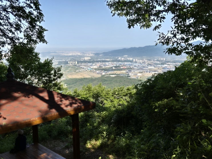  주말 아침 산행으로 만보 걷기 5월 산행길에 만난 야생화