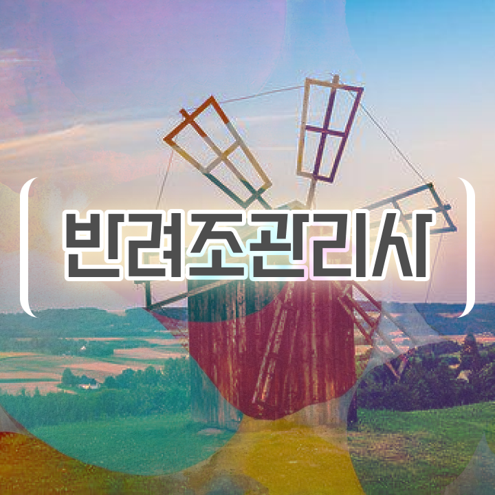  앵무새 인형 , 반려조관리사 자격증 취득과정 필수 정보