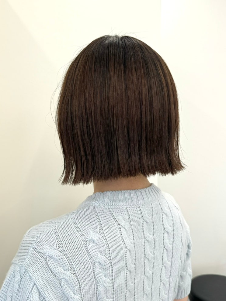  하남 커트 잘하는 미용실 마느아트 단발 테슬컷 내돈내산 후기 (by 유메 디자이너)