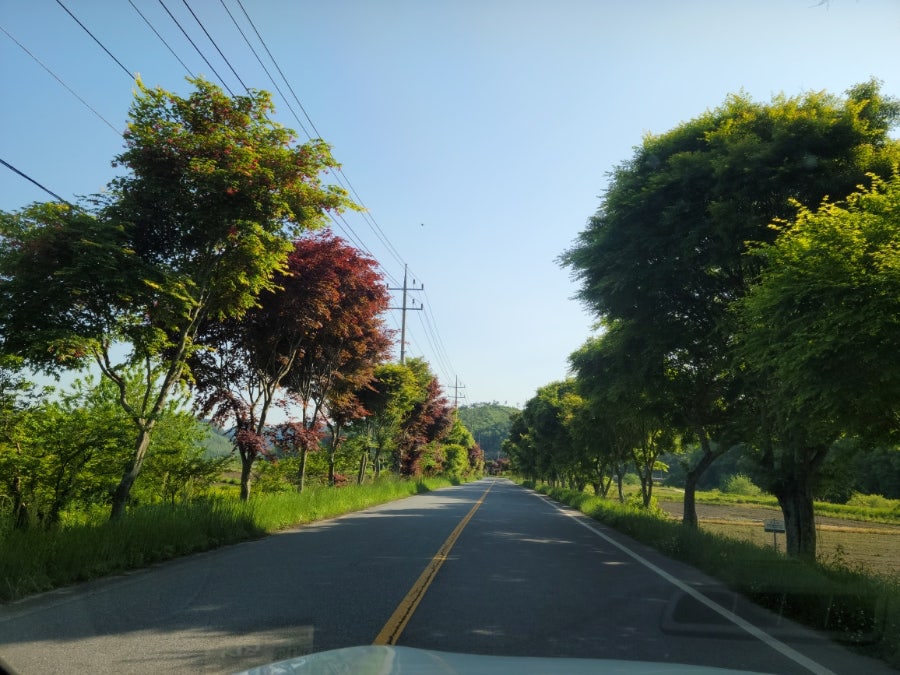 송산골산장 사진 2