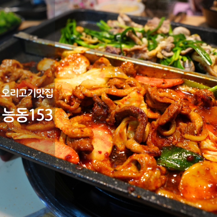 능동153 동탄 오리고기 오리주물럭 오리로스 구이 맛집