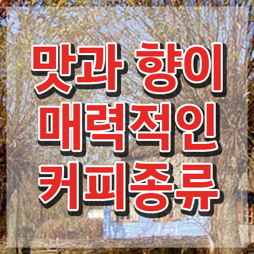  바리스타 2급 1급 , 바리스타 자격증 한달 만에 취득한 노하우 , 구직정보