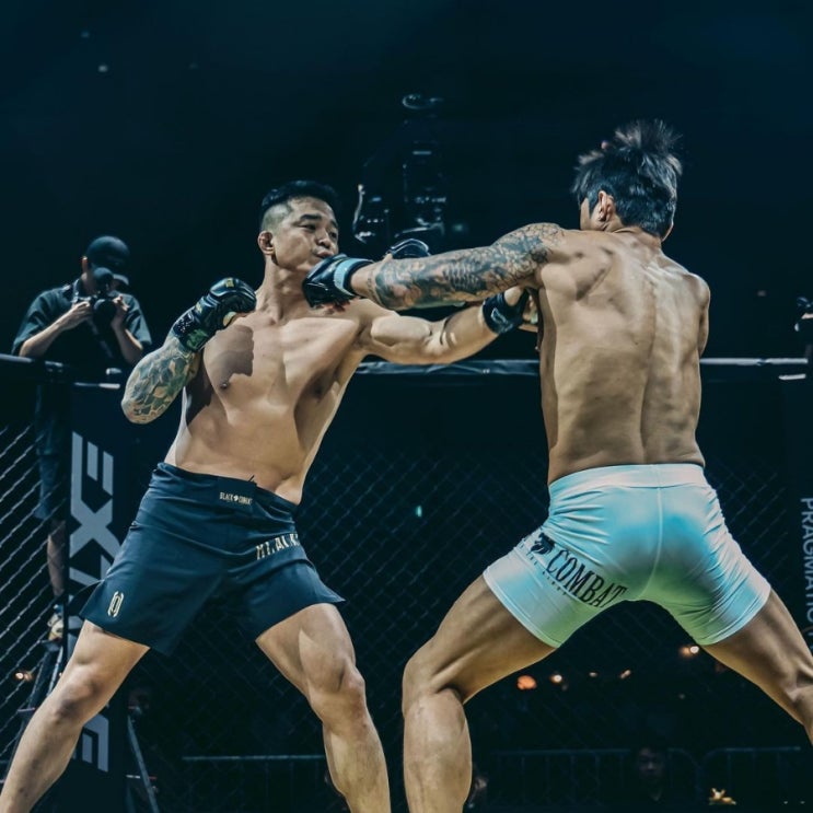 국내 MMA 미들급 순위 TOP10
