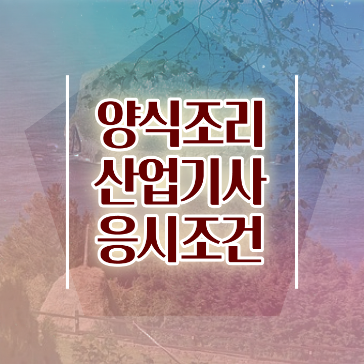  양식조리산업기사 학점 양식조리산업기사 응시자격 학점은행제로 빠르게 준비한 방법