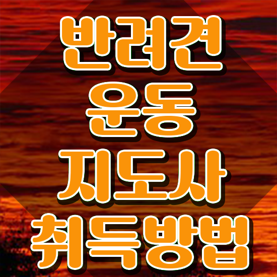  40대후반자격증 , 반려견운동지도사 비전공 무경력자도 직장과 병행하며 최단기간 끝내는 비법