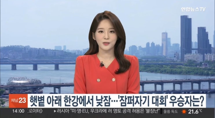 햇볕 아래 <b>한강</b>에서 낮잠… '<b>잠퍼자기 대회</b>' 우승자는?