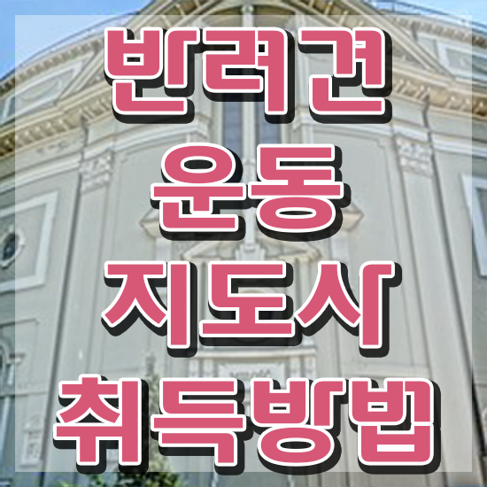  반려 동물 관련 직업 , 반려견운동지도사 관련학과 졸업장 없어도 온라인 교육원에서 초단기 준비했던 노하우