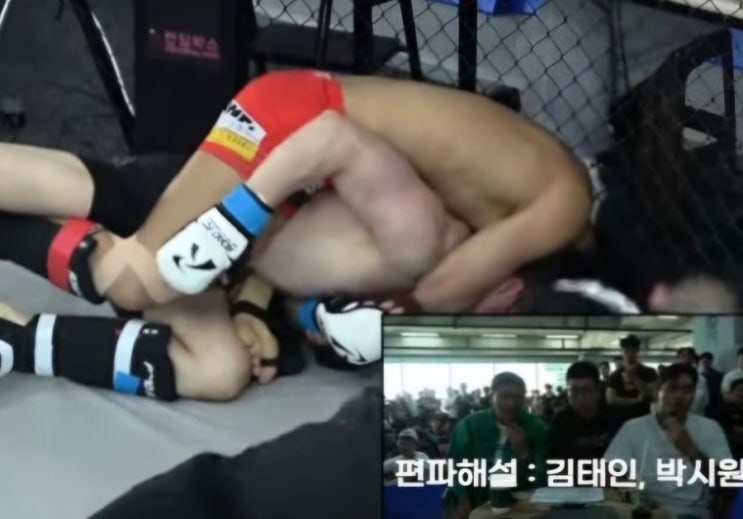  '로드FC 승강전', 프로팀 전원 승리