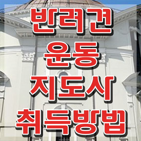  40대후반자격증 , 직장인도 반려견운동지도사 취득 가능해요