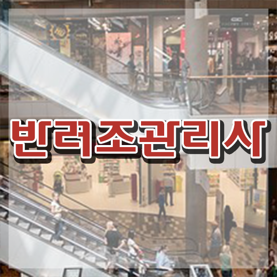  파인애플코뉴어앵무새 , 반려조관리사 자격증 합격한 팁 궁금하셨다면