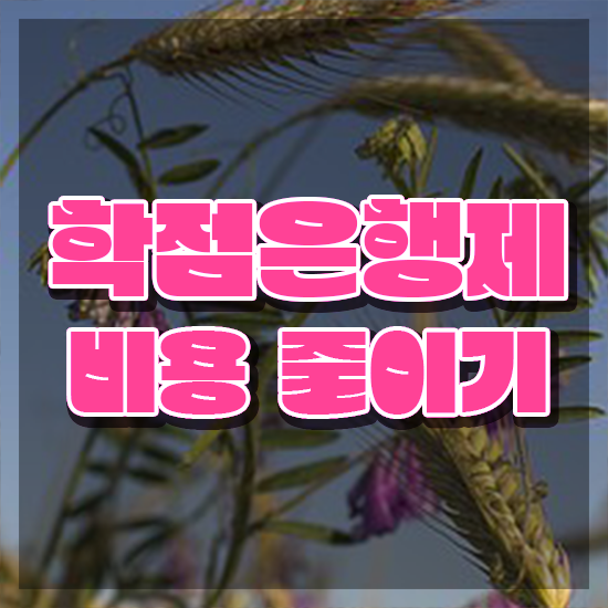  학점은행제현실 , 학점은행제 플래너 이 부분은 반드시 확인해보세요