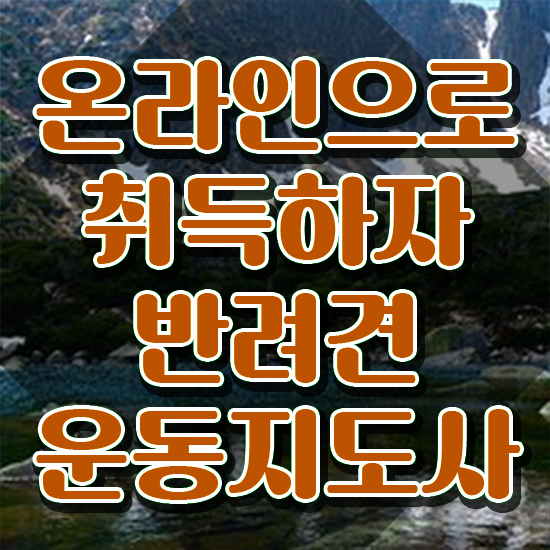  강아지 훈련사 비용 , 반려견운동지도사자격증 온라인으로 간단히 합격 전략 정리