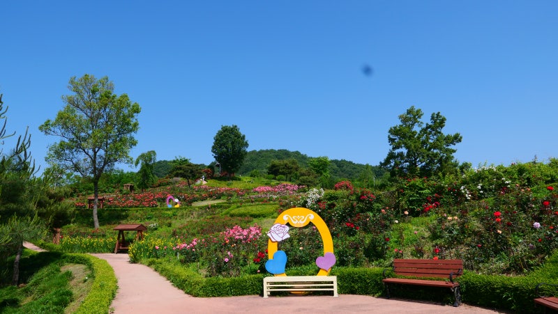 사진 7