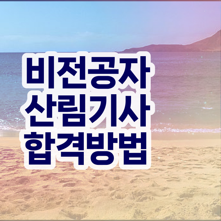  산림기사 자격 요건 산림기사 응시자격 독학으로 4달 안에 끝낸 비법