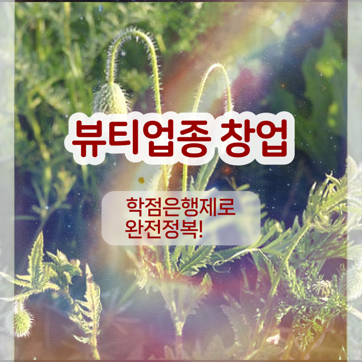  눈썹문신 후 , 반영구화장 준비 자격증 취득 독학하는 법 및 커리큘럼 상세하게 알고싶다면