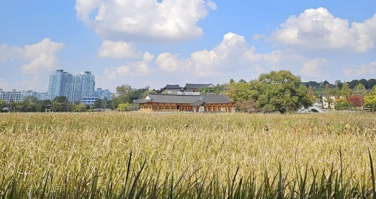  전주 가볼만한 곳 추천 전주덕진공원