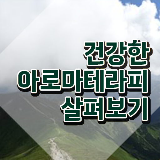  아로마뷰티diy지도사 필기공부방법 , 아로마뷰티DIY지도사 자격증 15일 만에 준비한 방법 및 채용 정보