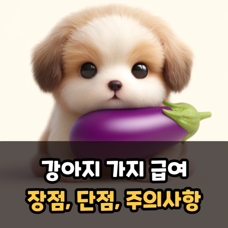  강아지 가지 급여시 장점, 단점, 주의사항