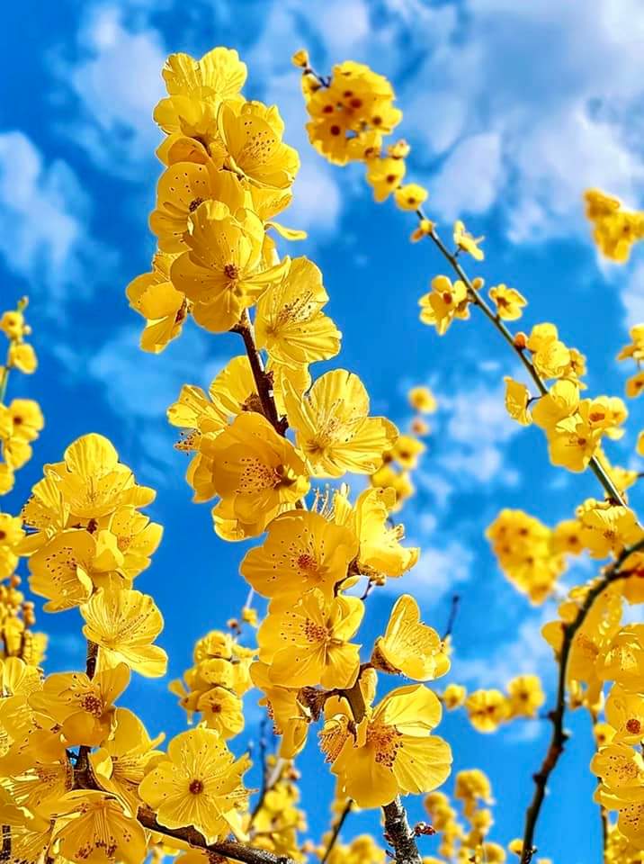   오늘의 생활정보 (2024-05-19, 일)