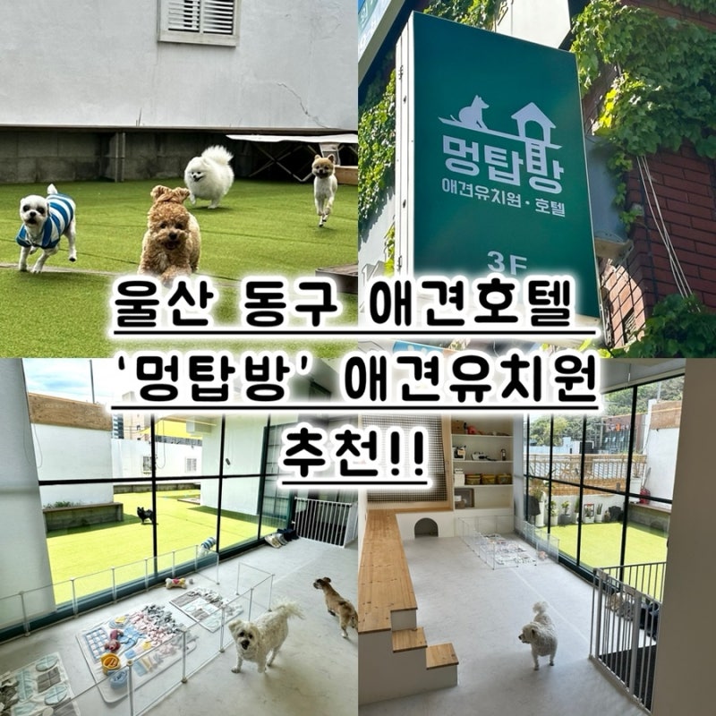 멍탑방