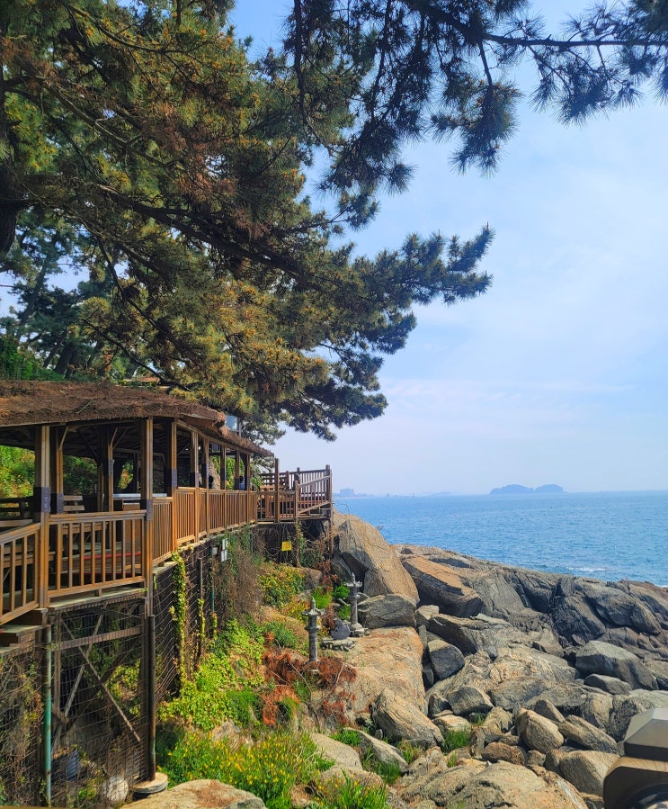  충남 보령 가볼만한 곳 한국식 전통정원 죽도 상화원