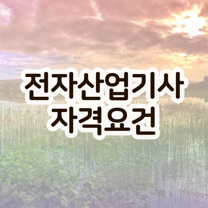 전자산업기사 필기 전자산업기사 시험응시자격 집에서 온라인으로 5달만에 준비한 노하우