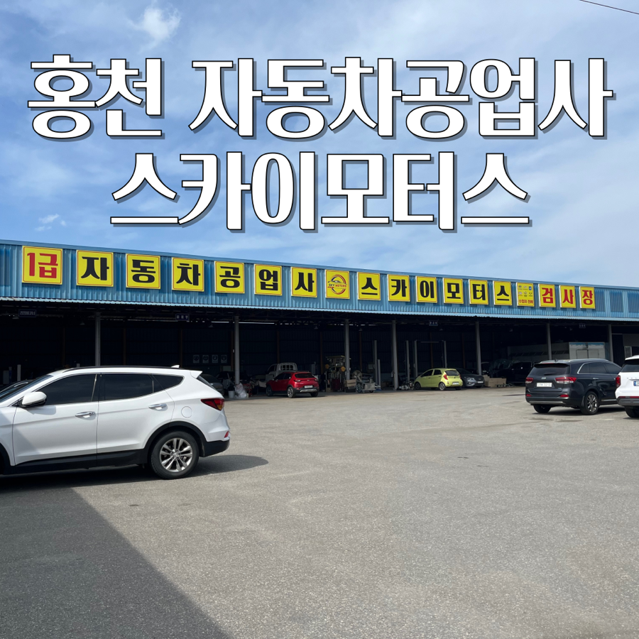 스카이모터스 사진 1