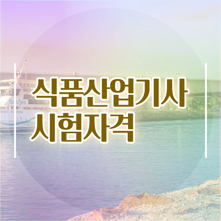  식품산업기사필기 식품산업기사 응시조건 독학으로 4달 안에 성공한 과정