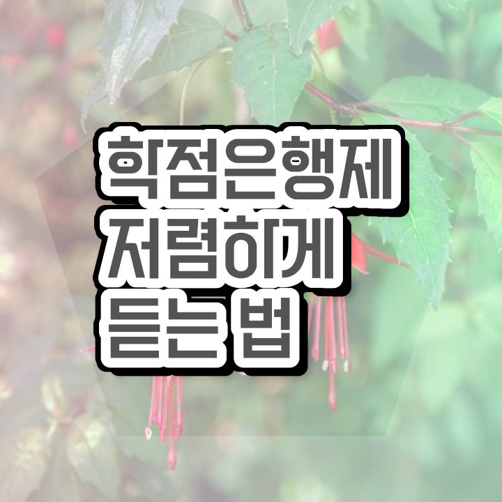  사이버대 학점은행제 , 전문학습멘토 가 도와줘서 목표로하던 학위를 취득했어요