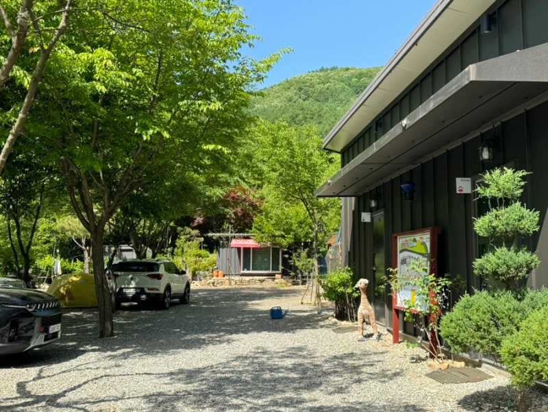 사진 5