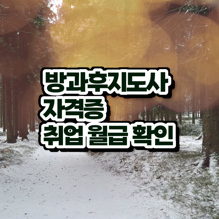  방과후지도사1급강의 , 방과후지도사자격증 2주 만에 합격한 팁