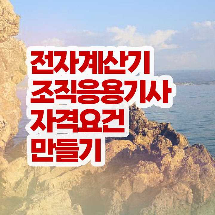  전자계산기조직응용기사 공부 전자계산기조직응용기사 응시자격 학점은행제로 간단하게 준비한 전략