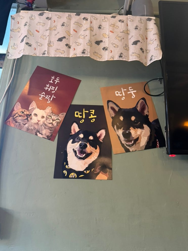  [합정 맛집] 귀여운 시바견들이 반겨주는 합정역 이자카야 시바카야라카세