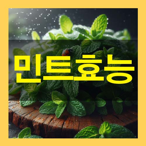  민트 효능 부작용 종류 자세히