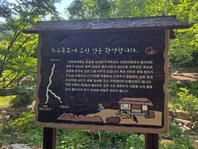 사진 3