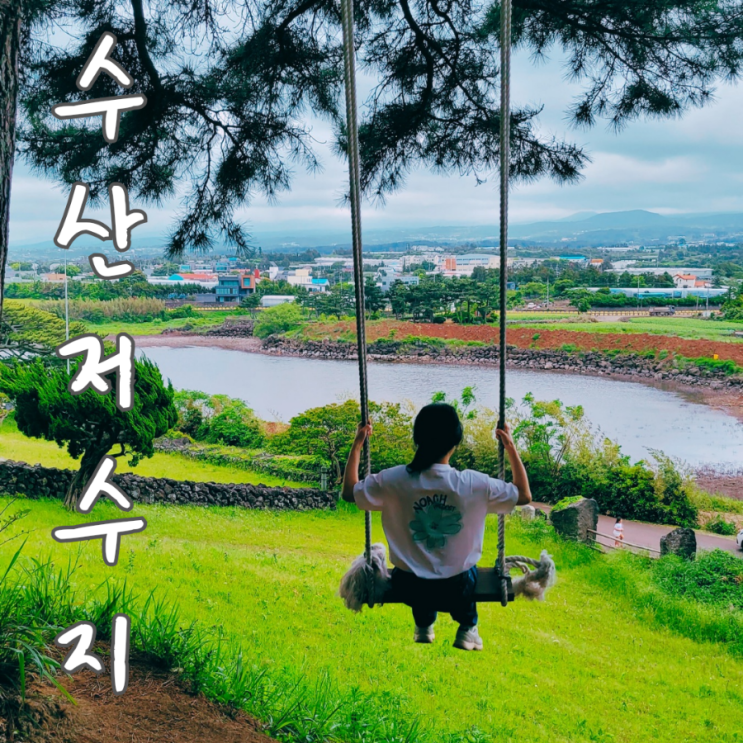  제주 수산저수지가 내려다보이는 제주 수산봉 그네 타기 ft. 쿰다카페
