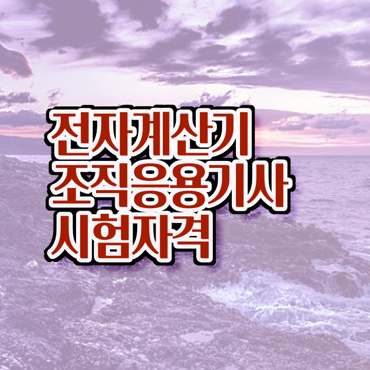 전자계산기조직응용기사 필기 준비 전자계산기조직응용기사 응시자격 인강만 듣고 4달만에 끝낸 과정