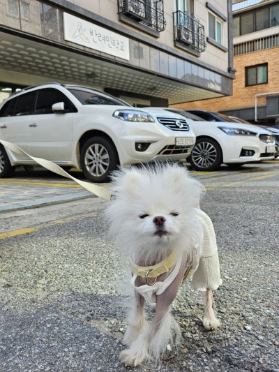 사진 2